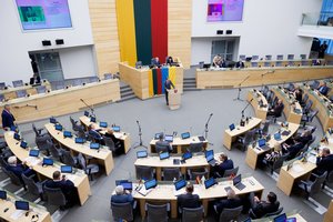 Seimas pritarė turto ir verslo vertinimo reguliavimo modelio pokyčiams
