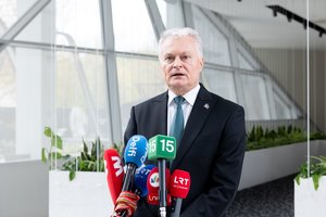 G. Nausėda toliau kritikuoja Seimo VSD pranešėjo komisijos darbą: žmonės praradę blaivų protą