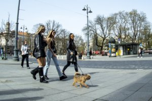 Lietuvoje užaugo karta, kuri nežino, kas yra ekonominė krizė: stebi turtingus influencerius ir nori kuo greičiau uždirbti milijoną