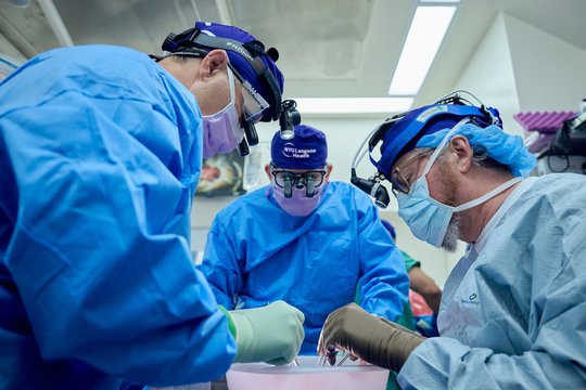  Atlikus pirmąją tokio pobūdžio medicininę procedūrą, Naujojo Džersio (JAV) gyventojai kartu su inkstu ir užkrūčio liauka iš kiaulės buvo implantuota dirbtinė širdis.