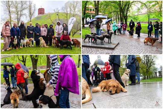 Kiekvienais metais balandžio 24-ąją Lietuvos šunų mylėtojai švenčia Šuns dieną.