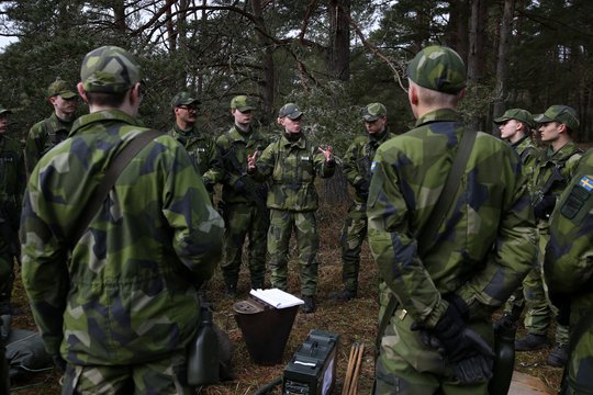  Švedijos kariai.
