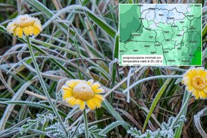 Prieš atšilimą – įspėjimas dėl šalnų: praneša, kur jos bus stipriausios