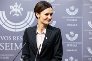 V. Čmilytė-Nielsen: strateginė Lietuvos ir Lenkijos partnerystė peržengia dvišalių santykių ribas