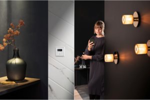 Namai, kokių norite jūs: turite dvi galimybes tokius susikurti