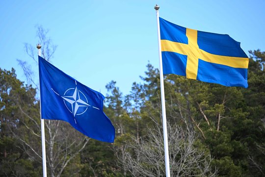 NATO ir Švedija.