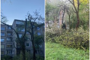 Kaunietei nuo vaizdų kieme plyšta širdis: „Viskas naikinama“