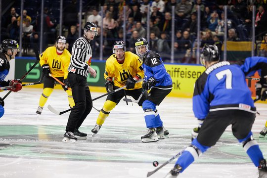 Pasaulio ledo ritulio čempionatas: Lietuva prieš Estiją.