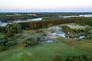 Įspėja dėl miškų urėdijos pertvarkymo į akcinę bendrovę – medienos pramonė ims diktuoti savo sąlygas