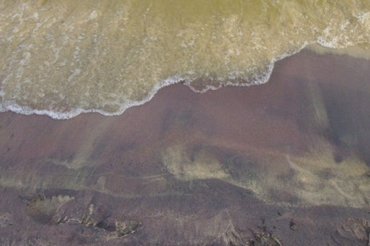 Šis violetinio smėlio mėginukas buvo surinktas Kuršių marių pakrantėje, Parnidžio kopos papėdėje, Grobšto rezervate.