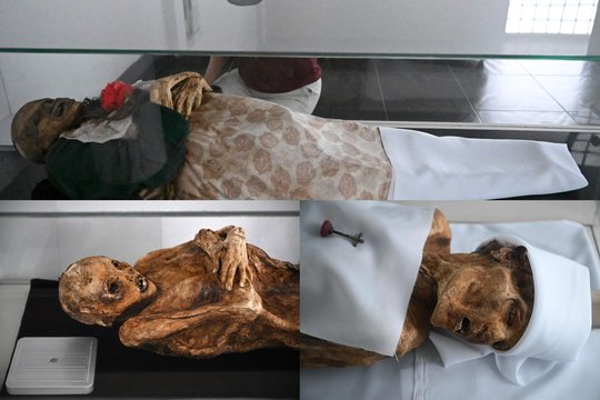 Mumifikacija – tai kūno išsaugojimo po mirties procesas, kai kūnas sąmoningai išdžiovinamas arba balzamuojamas, tačiau San Bernardo kūnai iš esmės buvo mumifikuoti atsitiktinai.   