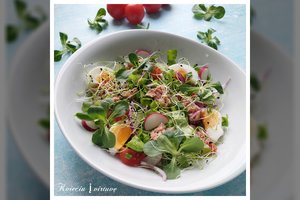 Gardžios salotos su tunu: paprastai ir greitai pagaminamos