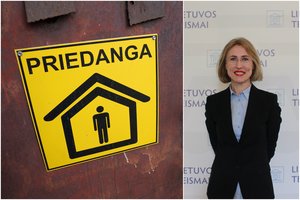 Priedangos, slėptuvės ir kolektyvinės saugos statiniai: teisėja paaiškino skirtumus ir teisinį reglamentavimą