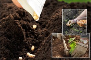 Jei šį darbą kieme atliksite gegužės mėnesį, visą vasarą sau dėkosite – sutaupysite ir brangaus laiko