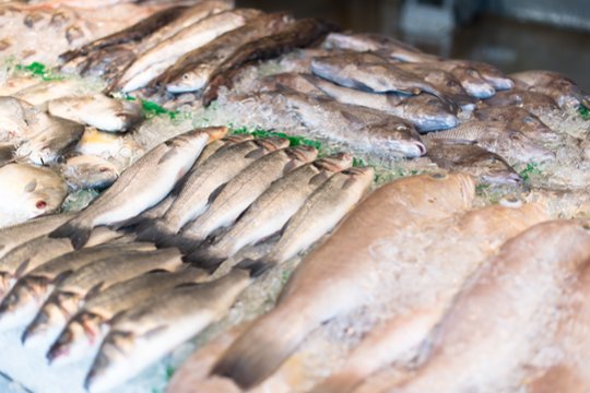 Dietologai vienu balsu kartoja, kad žuvies ir jūros gėrybių lietuviams vertėtų valgyti gerokai dažniau: joje gausu žmogaus organizmui reikalingų polinesočiųjų riebiųjų rūgščių Omega-3 ir Omega-6, taip pat lengvai virškinamų baltymų, kai kurių vitaminų ir mineralinių medžiagų.