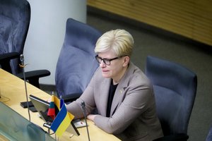 I. Šimonytė: specialaus fondo įstatymo, skirto gynybos finansavimui, pateikimas – kelių savaičių klausimas