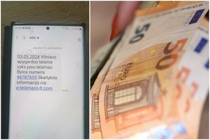 Lietuvos teismai perspėja gyventojus, kad netikėtų SMS žinutėmis – teismai tokių nesiuntinėja