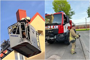 Ant namo stogo Klaipėdoje užsiropštęs jaunas labradoras sukėlė tarnybas ant kojų