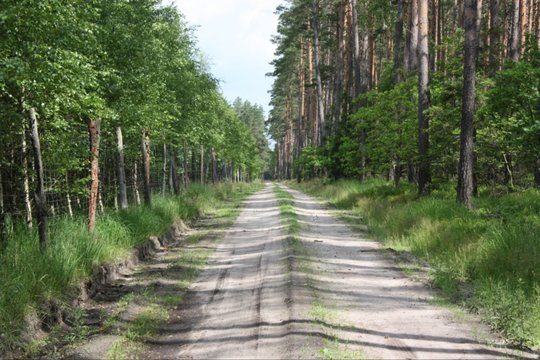 Susitarta dėl miškovežių sugadinamų kelių sutvarkymo Vilniaus rajone.