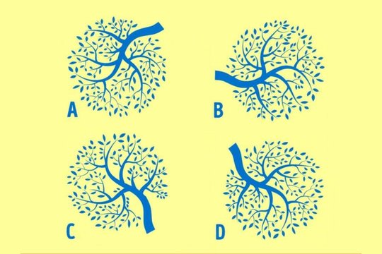 Kurie medžiai vienodi?