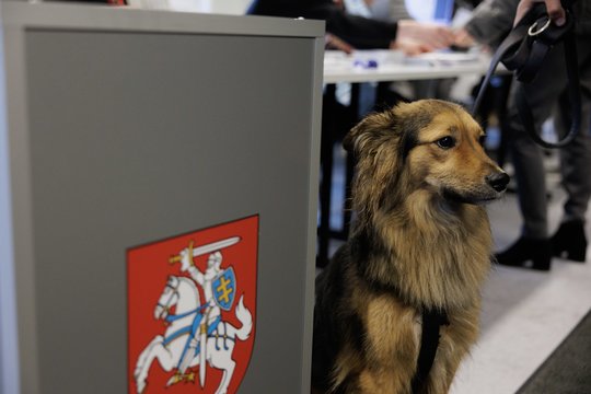  Išankstinis balsavimas Vilniuje.<br> V.Skaraičio nuotr.