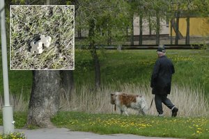 Primena – radus nelieskite, o praneškite: iš orlaivių bus išmėtyta virš 500 tūkst. jaukų