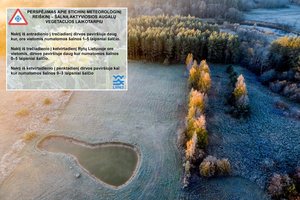 Įspėja sodininkus – naktimis vėl kandžiosis šalnos: įvardino, kur šaltukas spaus labiausiai
