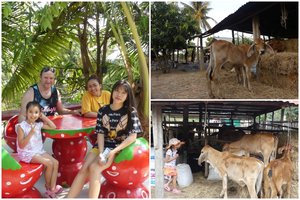 Su tailandiete sukūrė šeimą, o dabar ten plėtoja ir ūkį: papasakojo, su kokiais iššūkiais susidūrė