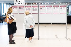 Visoje Lietuvoje tęsiasi išankstinis balsavimas