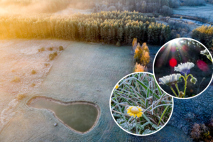 Praėjusią naktį – daugiau nei 6 laipsnius siekusios šalnos: pasakė, kokių orų tikėtis