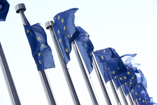 ES vėliavos.