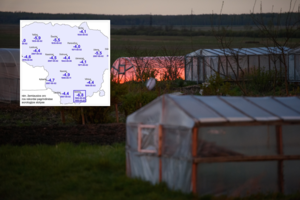 Gegužės šalčio rekordai stebina: tokia temperatūra gali pridaryti nemenkų bėdų