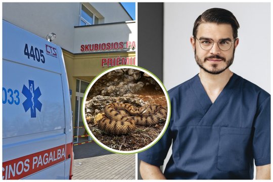 Po gyvatės įkandimo Šiaulių ligoninėje savaitę gydytas vaikas.