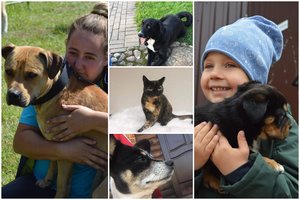 Žemaitės šeima gelbėja tuos, kurių niekas nenori: augintinių tik daugėja