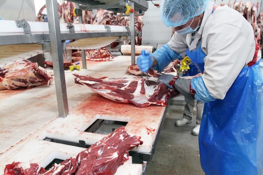 ​Lietuvoje yra nemažai mėsos gamintojų, kurie į rinką tiekia brandintą mėsą.