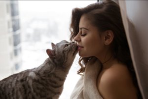 Įvertino vidutinę kačių gyvenimo trukmę – šių veislių augintojams verta suklusti