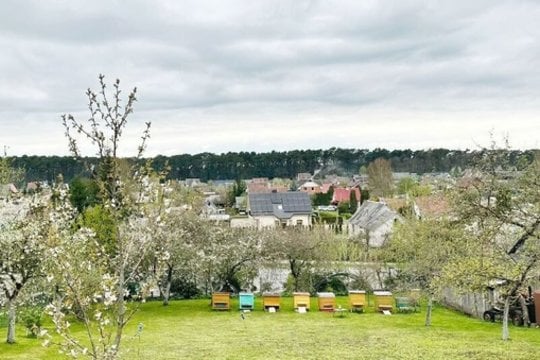 Štai Kėdainių rajone esantis Pašilių kaimas auga – jame kasmet daugėja registruotų gyventojų, kasmet statomi nauji namai.