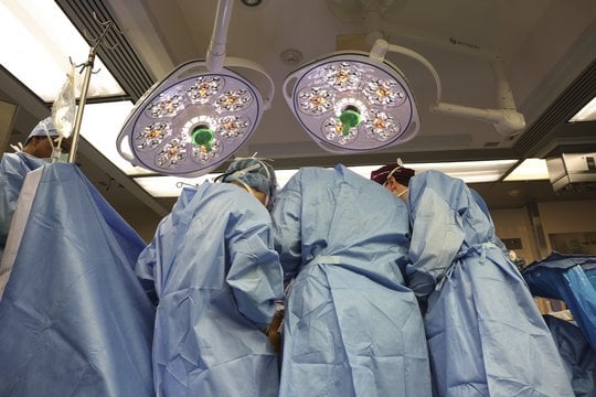 Masačiusetso ligoninės chirurgai pirmą kartą persodino kiaulės inkstą gyvam žmogui.