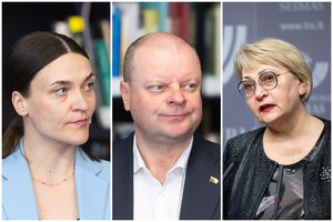 Valdantieji neketina laukti Konstitucinio Teismo verdikto dėl VSD pranešėjo komisijos: Seimo valia apsispręsti dėl išvadų