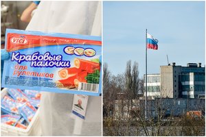 Kremliaus biudžetą pildė ne tik „Vičiūnų grupė“ – skelbia, kokios įmonės iki šiol dideliu mastu eksportuoja į Rusiją