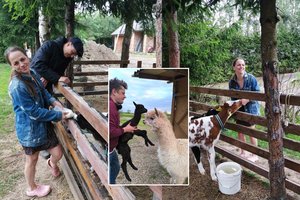 Begalę verslų vystantis Ą. Žvagulis – apie naują šeimos narį ir laukiančius pokyčius: „Svarstome“