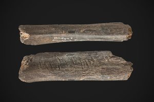 Mokslininkai: tai gali būti vienas seniausių neandertaliečių sukurtų meno kūrinių Eurazijoje