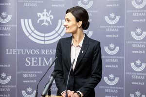 V. Čmilytė-Nielsen: nukėlus balsavimą dėl pranešėjo istorijos išvadų išvengsime galimų sąsajų su prezidento rinkimais