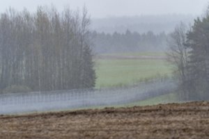 Pastarąją parą pasienyje su Baltarusija neteisėtų migrantų nefiksuota