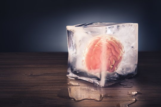  Kinijos mokslininkai sukūrė naują cheminį mišinį, kuris leidžia smegenų audiniui po užšaldymo vėl funkcionuoti.