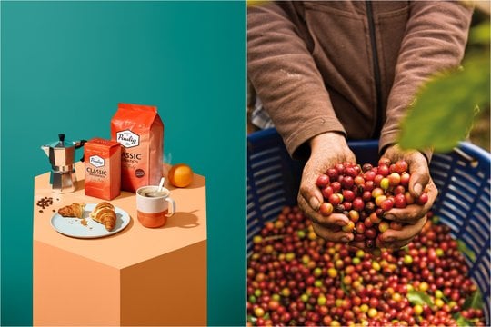 Vienas iš populiariausių kavos prekių ženklų Lietuvoje – „Paulig Classic“ – švenčia dvidešimtmetį ir ta proga pristato naujieną – naują kavos rūšį „Paulig Classic Aromatico“.