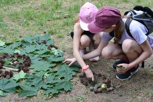 Klausimai, kuriuos reikėtų užduoti sau ir vaikams renkantis vasaros stovyklą