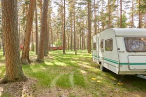 Vaikų svajonę išpildyti norėjusiai mamai nuo kainų atvipo žandikaulis: „Kokie milijonieriai gali tai leisti“