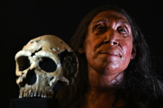  Neandertaliečio rekonstrukcija.