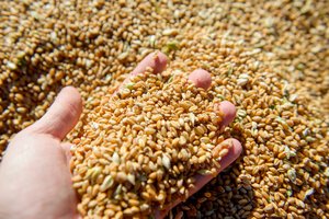 Nuo šiol nebegalės įvežti šių rusiškų ir baltarusiškų prekių: sąraše beveik 3000 produktų